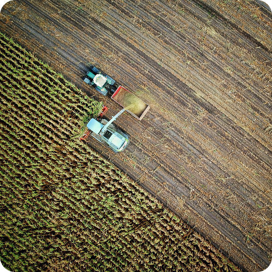 Infrastructure inspection